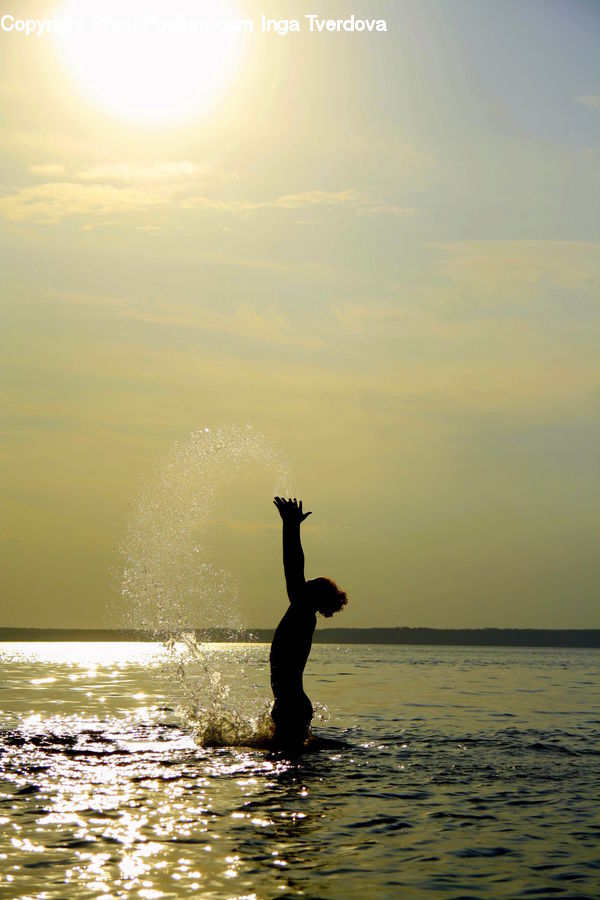 Water, Silhouette, Bird, Cormorant, Waterfowl, Ocean, Outdoors