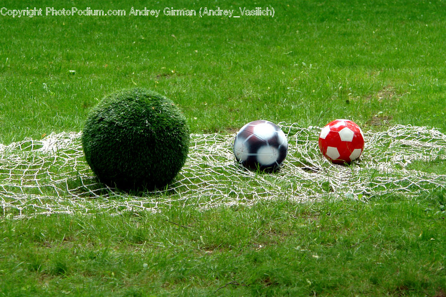 Ball, Sphere, Field, Grass, Grassland, Plant, Football