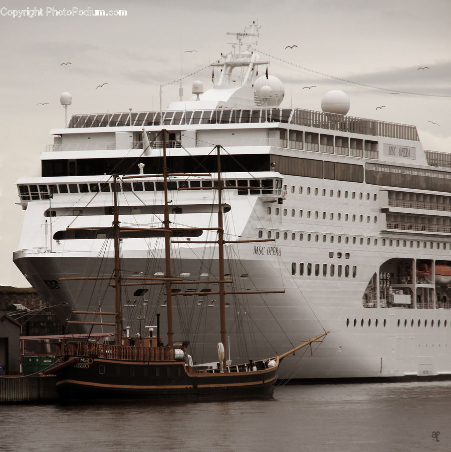 Cruise Ship, Ocean Liner, Ship, Vessel, Ferry, Freighter, Tanker