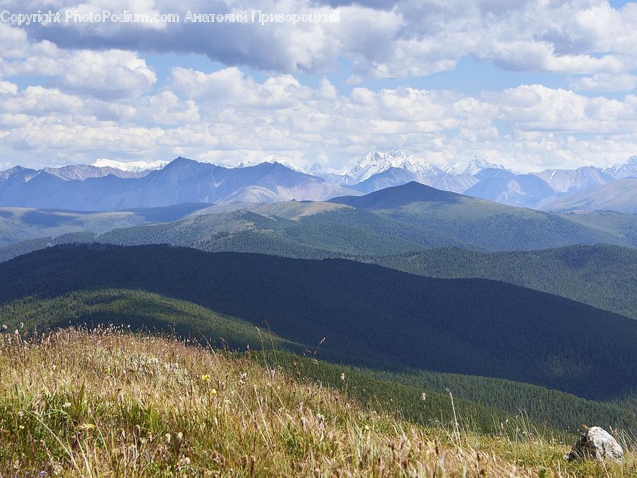 Field, Grass, Grassland, Land, Outdoors, Crest, Mountain