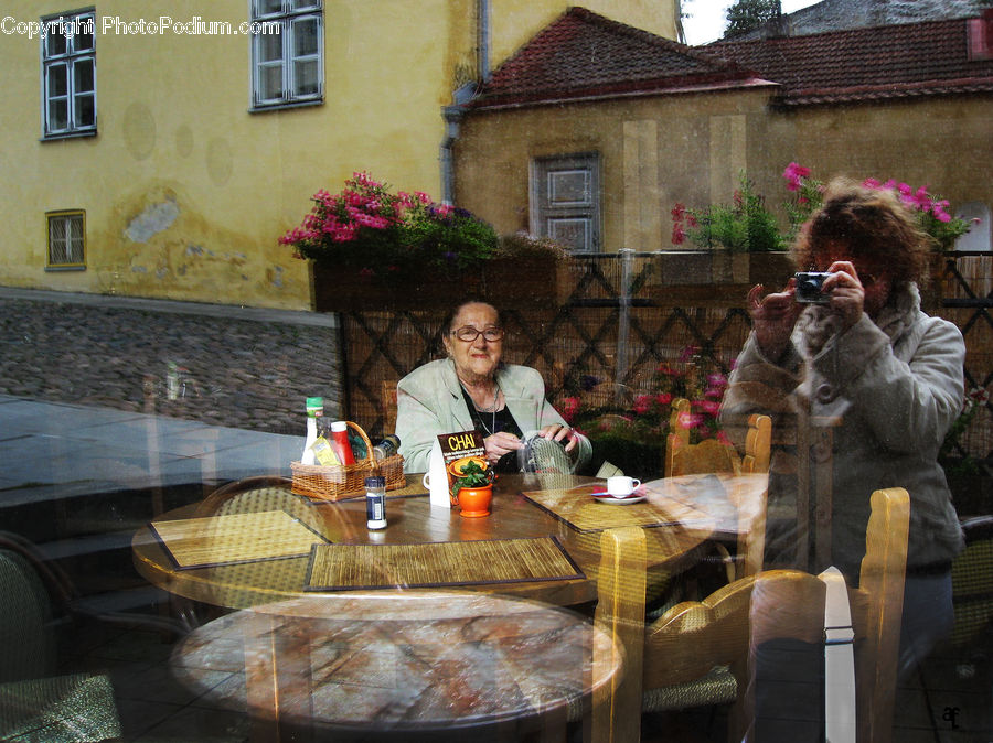 People, Person, Human, Plant, Potted Plant, Dining Table, Furniture