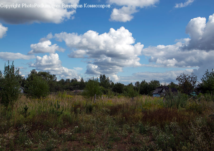 Cloud, Cumulus, Sky, Field, Grass, Grassland, Land