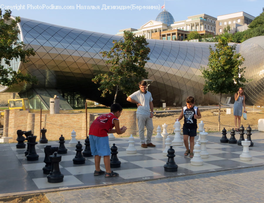 Human, People, Person, Chess, Game, Segway