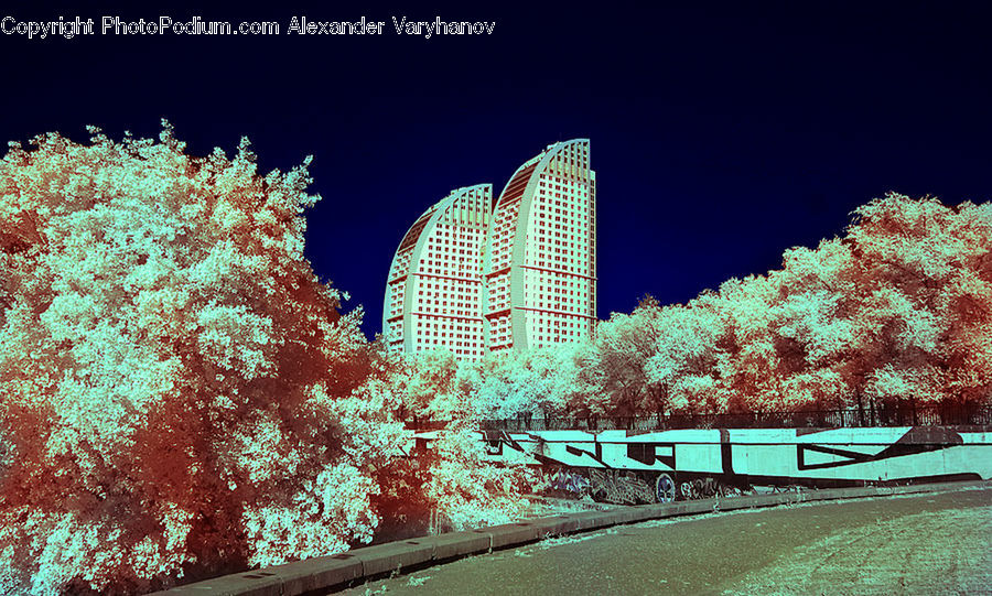 Blossom, Cherry Blossom, Flower, Building, Housing, Fountain, Water