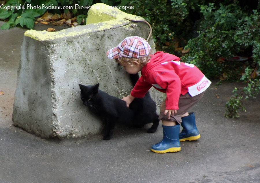 Human, People, Person, Plant, Potted Plant, Animal, Black Cat