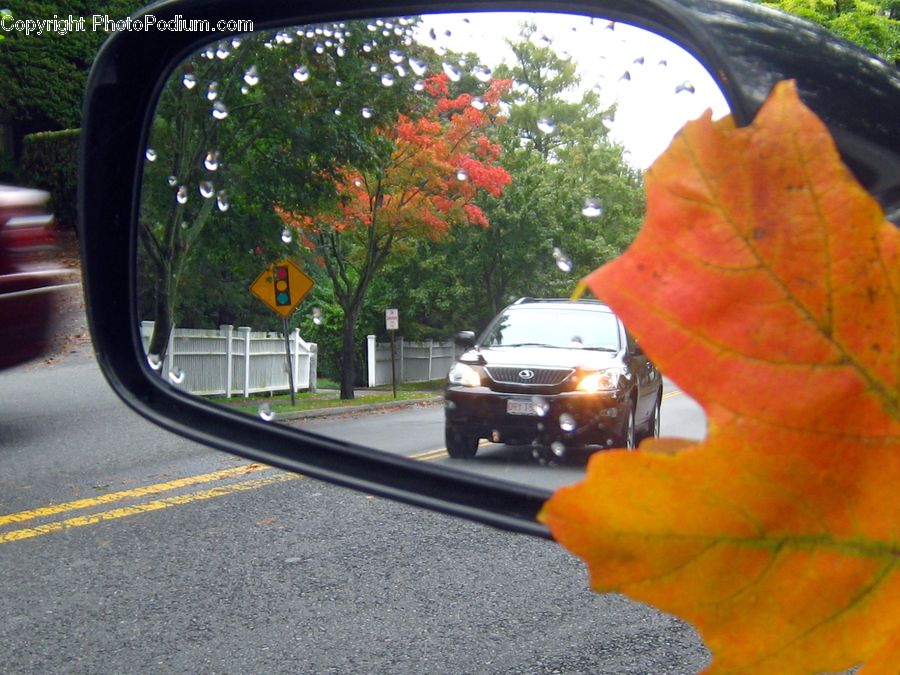 Car Mirror, Mirror, Automobile, Car, Vehicle, Maple, Maple Leaf