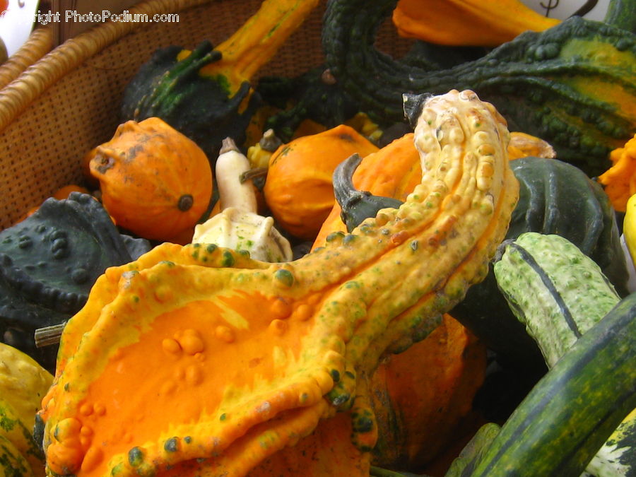 Pumpkin, Squash, Vegetable, Produce, Zucchini