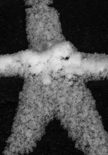Snow man