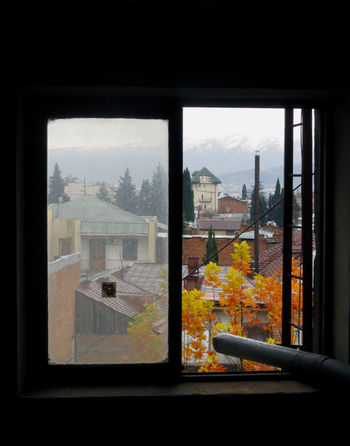 Окно в осень