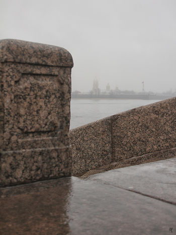 В Петербурге сегодня дожди