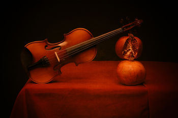 Сон скрипки на гранате за секунду до падения-2