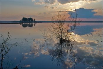 Утро на озере Пено