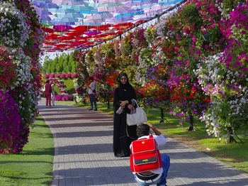 Miracle Garden