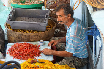 Греческий рыбак чистит креветки