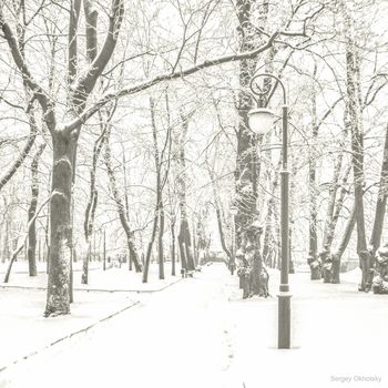 Снежная графика зимы... (3)