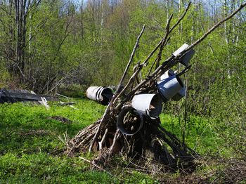 Деревенский арт-объект