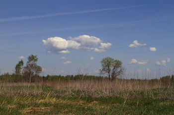 облака над полем