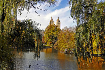 New York.Central Park