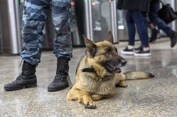 Всегда на службе