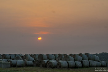 Dawn on hayfield