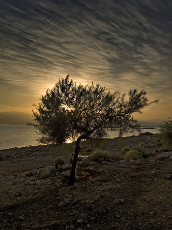 Утро... Мертвое море...