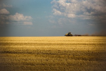 Вот и август настал