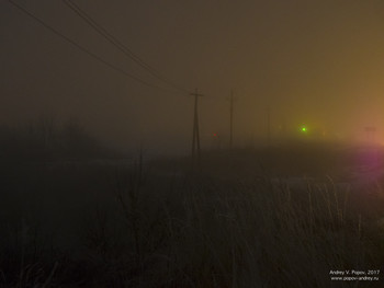 Winter fog #1