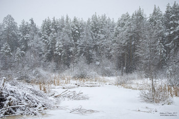 Winter is coming