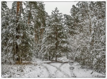 Первый снег.