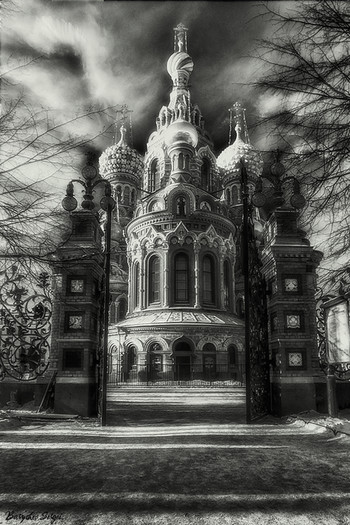 Петербургские зарисовки...Из Михайловского сада..