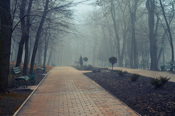 Туман в городском парке