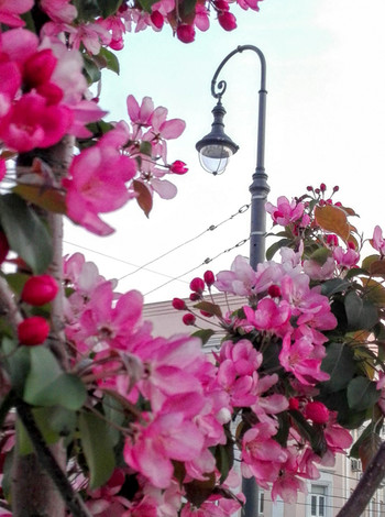 Весна на Хитровке... г. Москва