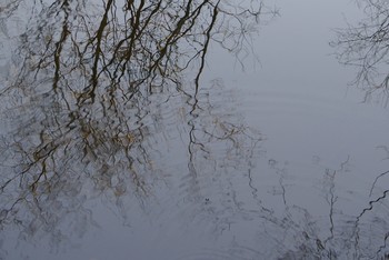 Отблески заходящего солнца на весенней воде