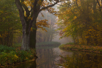 Осень на канале