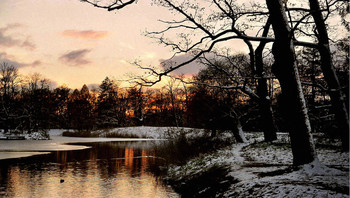 Зимний вечер в Александровском парке