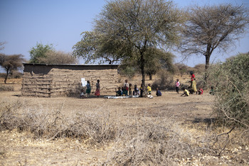 Танзания,саванна.Школа для детей из племени масаи. #topguidessafaris 