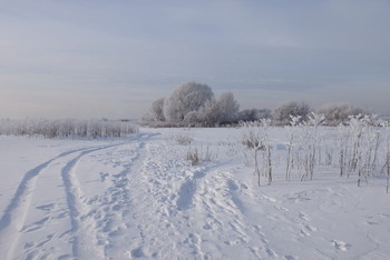 Зима на полях