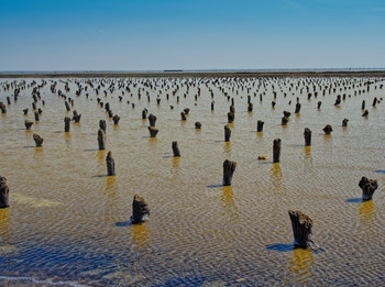 The Lake Baskunchak. Salted remains of bridge supports.