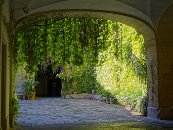The green courtyards of the southern Italian cities 