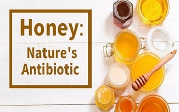 Honey Antibiotic