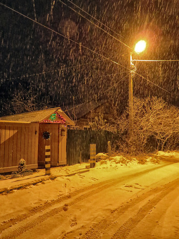 Ноябрьский снегНоябрьский снегопад 26-11-2020 в моей вотчине Ромашково...опад 26-11-2020 в моей вотчине Ромашково...