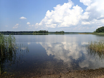 Лето на озере