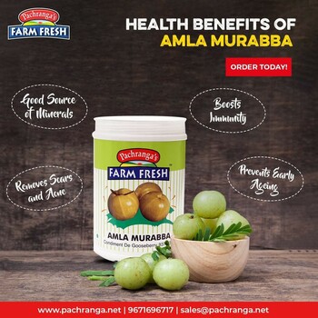 Pachranga Farm Fresh | Best Amla Murabba Manufacturers