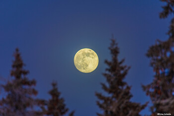 Вечерния луна