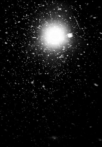 Вселенная из снега 