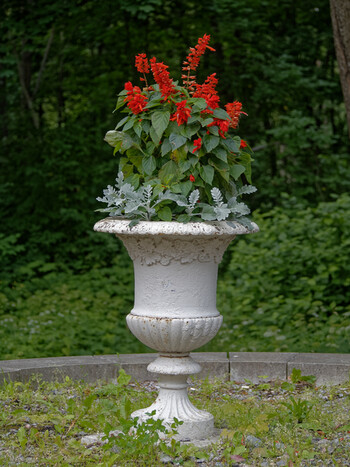 Flowers in the park vase of the palace.