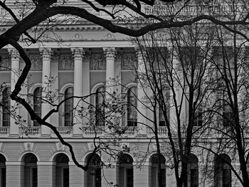 Classical architecture behind the branches.