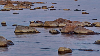 Old boulders in the water of the Gulf of Finland.