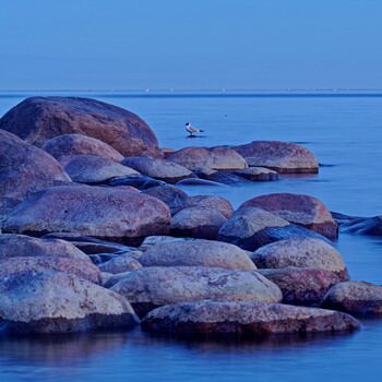 Old boulders in the water of the Gulf of Finland.