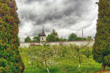 Нико́ло-Берлюко́вская пу́стынь — мужской монастырь 